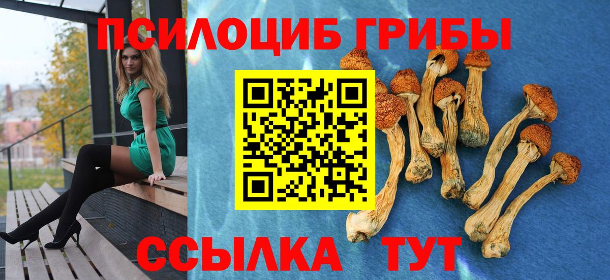 Минусинск  Псилоцибиновые грибы мухоморы  Вход с VPN 