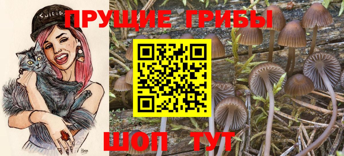 Псилоцибиновые грибы мицелий Минусинск